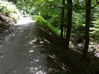 In Dicken Bruch von Rott
