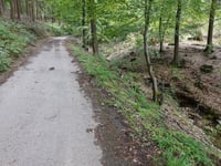 In Dicken Bruch von Rott