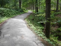 In Dicken Bruch von Rott