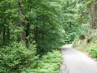 In Dicken Bruch von Rott