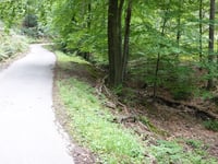 In Dicken Bruch von Rott