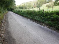 Ingber depuis Gulpen