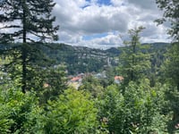 Inselklause von Triberg Im Schwarzwald