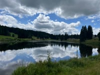 Inselklause von Triberg Im Schwarzwald