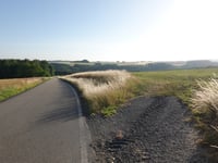 Irmenach von Lötzbeuren