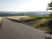 Irmenach von Lötzbeuren