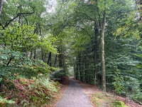 Italiaanseweg