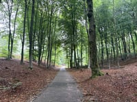Italiaanseweg