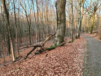 Italiaanseweg