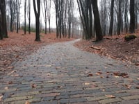 Italiaanseweg