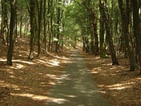 Italiaanseweg