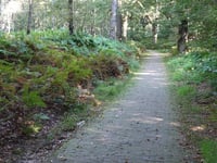 Italiaanseweg