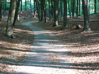 Italiaanseweg
