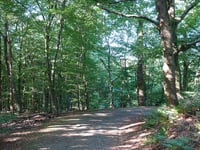 Italiaanseweg