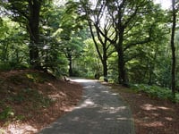 Italiaanseweg