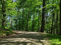 Italiaanseweg