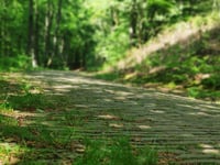 Italiaanseweg