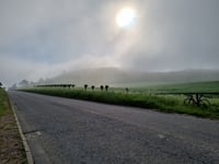 Ivinghoe Beacon / Clipper Down von Ivinghoe