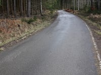 Jägerhausstrasse from Dreilägerbachtalsperre