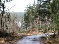 Jägerhausstrasse from Dreilägerbachtalsperre