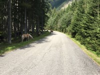 Jamnighütte von Obervellach
