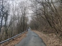 János-hegy via Jánoshegyi út