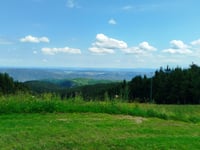 Jauerling z Schallemmersdorf
