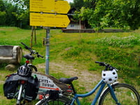 Jauerling da Schallemmersdorf