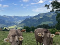 Jaunpass from Reidenbach