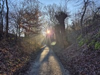 Jeugrubbe via Vaesrader Wienweg