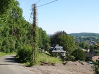 Jevoumont - Parc à Gibier von Theux