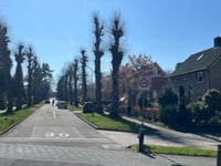 Joubertweg par Karel van Gelderlaan