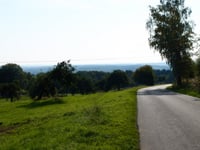 Jünkerwald from Klotten