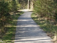 Jutberg über Weg langs de Heesch