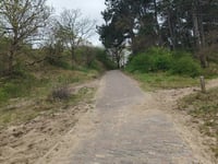 Kaagweg z Heemskerk