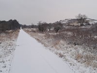 Kaagweg da Wijk aan Zee