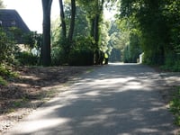 Kabeljauw