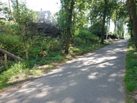 Kabeljauw