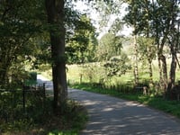 Kabeljauw