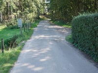 Kabeljauw