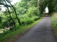 Kahlenberg via An den Fichten