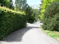 Kahlenberg via An den Fichten