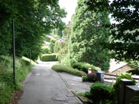 Kahlenberg via An den Fichten