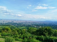 Kahlenberg von Grinzing