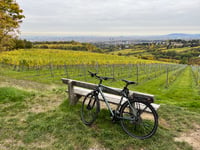 Kahlenberg von Nussdorf über Dennweg
