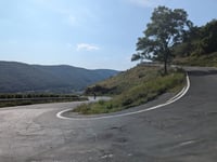 Steinreich von Pommern
