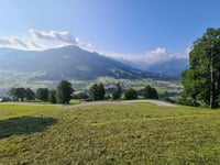 Kälbersalvealm von Westendorf