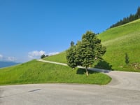 Kälbersalvealm von Westendorf