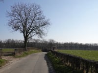 Kalleberg