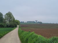 Kallerveld from Amelsdorp